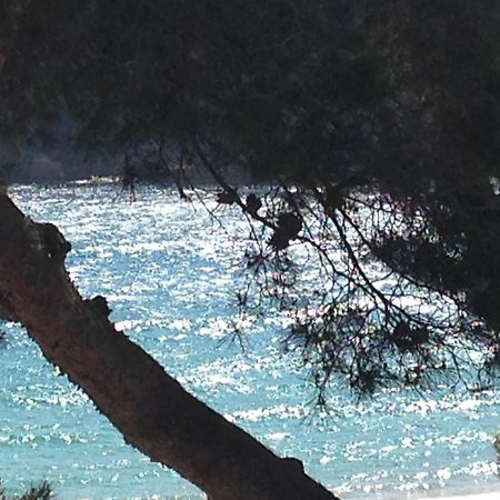 Appartamento Llafranc Esterno foto